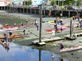 DSCN0961