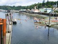 DSCN0981