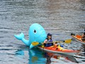 DSCN1349