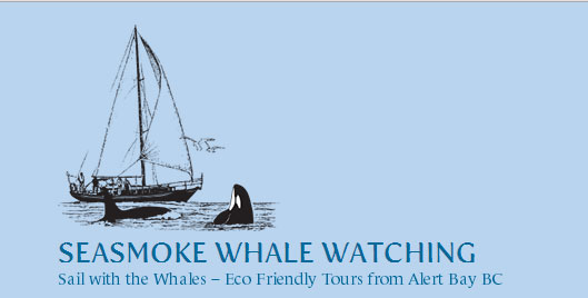 seasmoke whale watching alert bay 360 alert bay